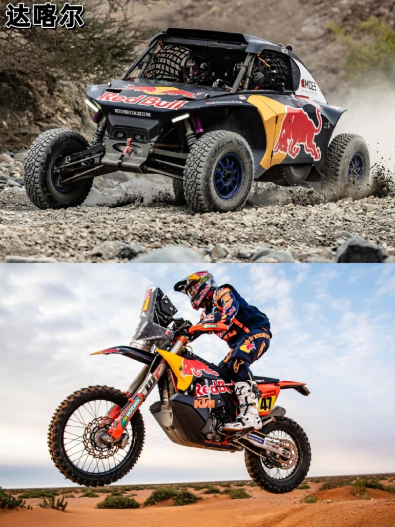 雷火电竞下载-红牛车队绝杀法拉利，诺里斯惊艳四座的简单介绍