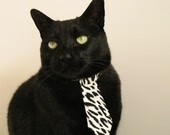 西亚卡姆碾压式存在感，辽宁队如何用一笔交易终结与广东的十年缠斗？