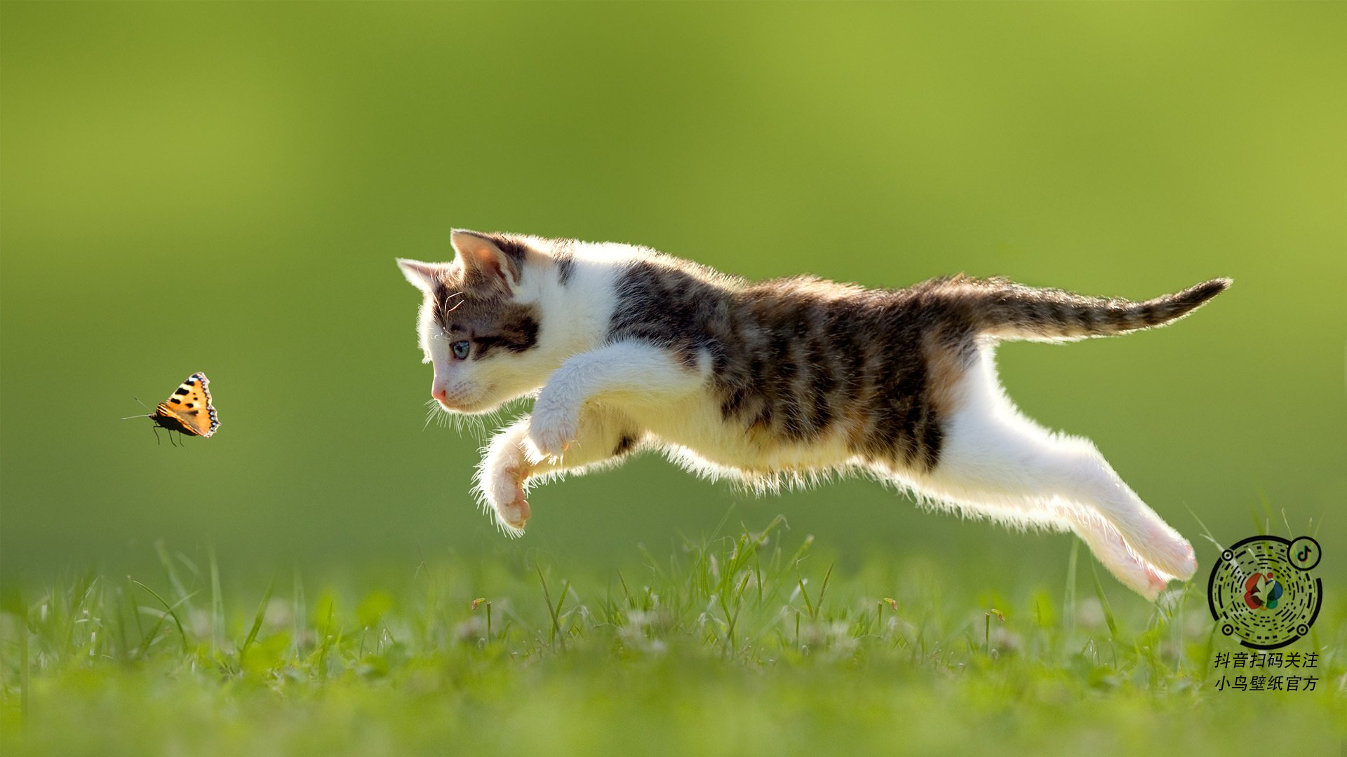 雷火电竞充值-铁壁防守与孤胆英雄，山西队锁死爵士的战术解析与利拉德季后赛接管时刻