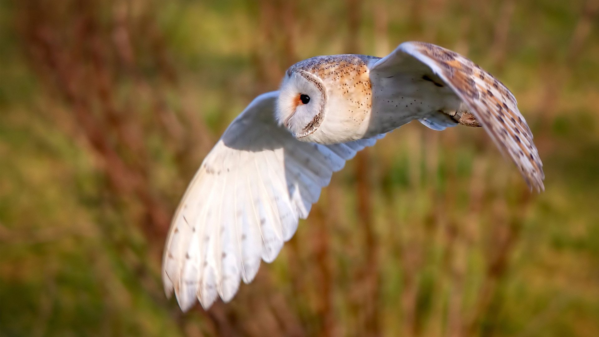 安菲尔德炼狱夜，卡拉斯科破局记