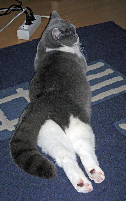 雷火电竞官网-竞技场回响