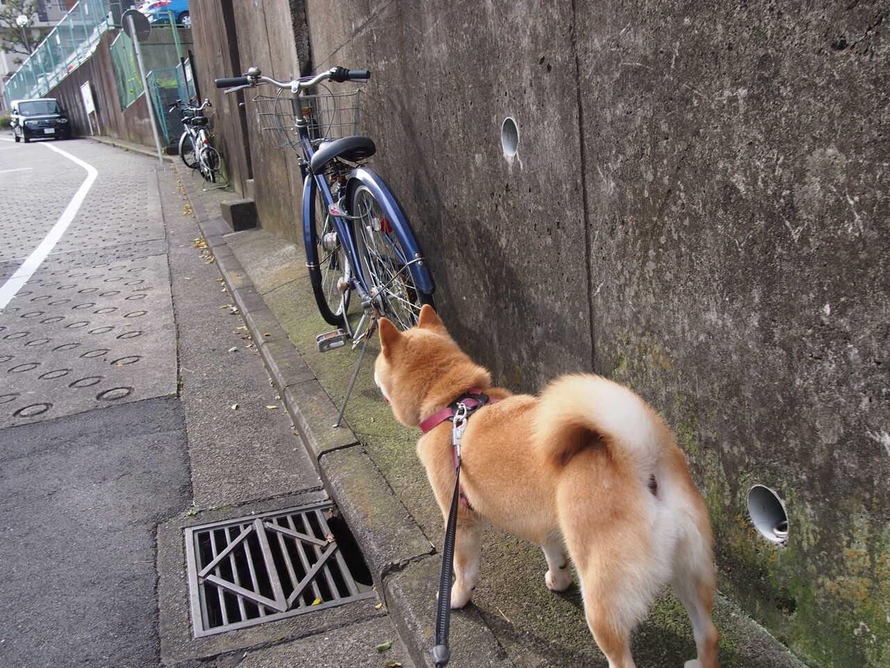 临时代打创奇迹，库里压哨三分助步行者绝杀黄蜂，一球定乾坤