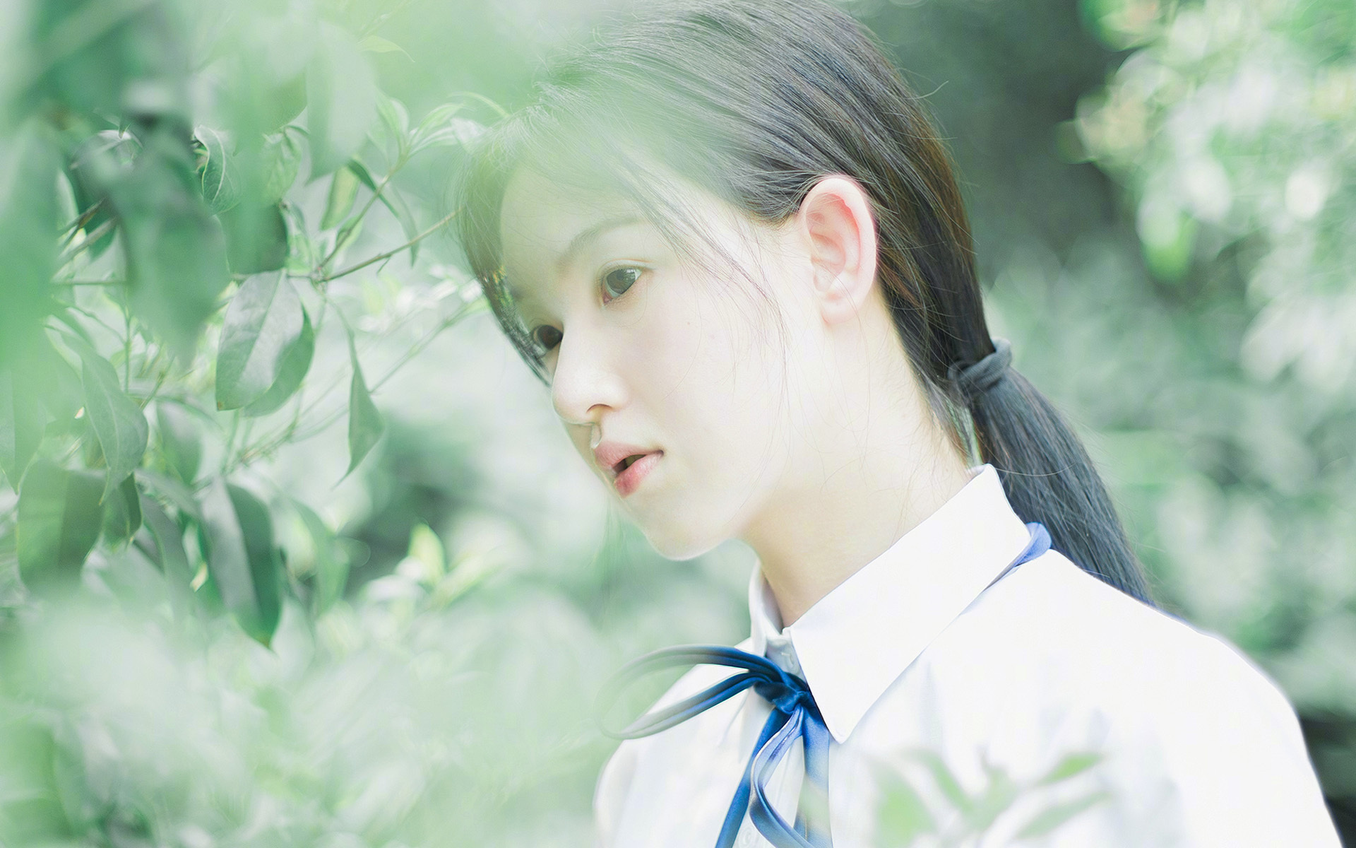 爆裂闪光,戈麦斯14分钟破局,波斯铁骑碾压沙漠之狐