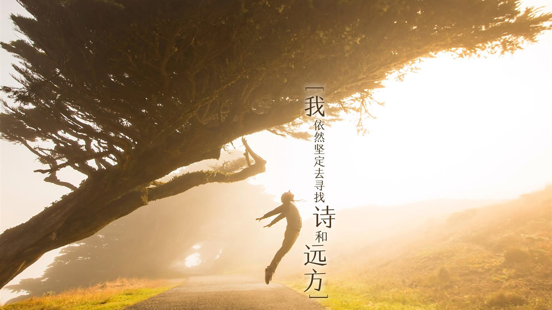 尼斯秘鲁街头狂欢夜，德甲响起亚洲风暴序曲