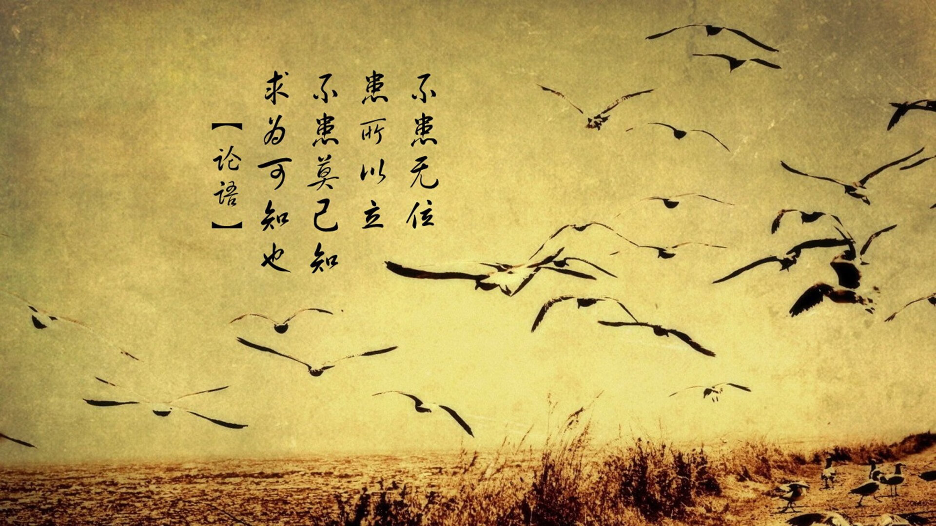 神迹重现！1.5秒绝境重生，克莱·汤普森史诗一战颠覆密尔沃基夜空