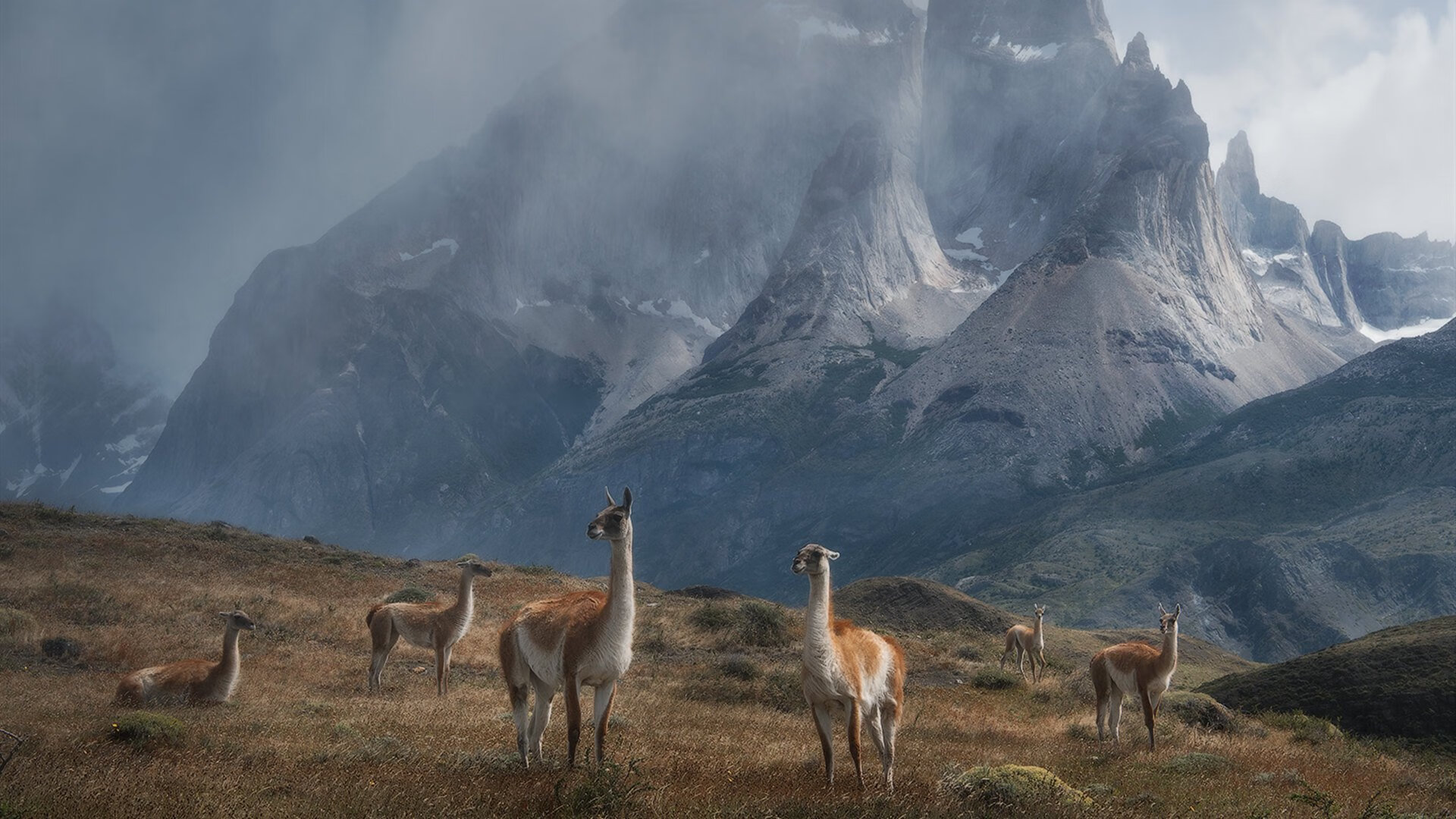 雷火电竞合作-字母哥，当NBA巨星站上F1王座之巅