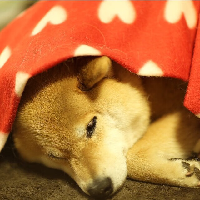 孤星照夜，只手擎天—当乔治成为雷霆最后的答案