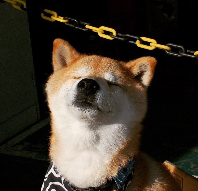 连送四次失误的年度最蠢球员，却在15秒后成为英雄