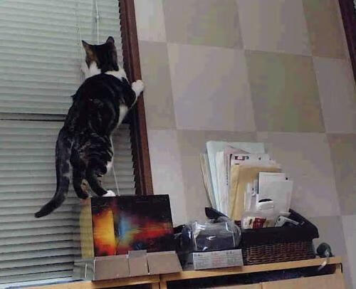 教科书式一击，基耶萨在英超争冠夜的华丽注脚