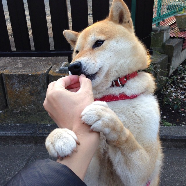 冷门与传奇,体育世界的唯一性双面镜