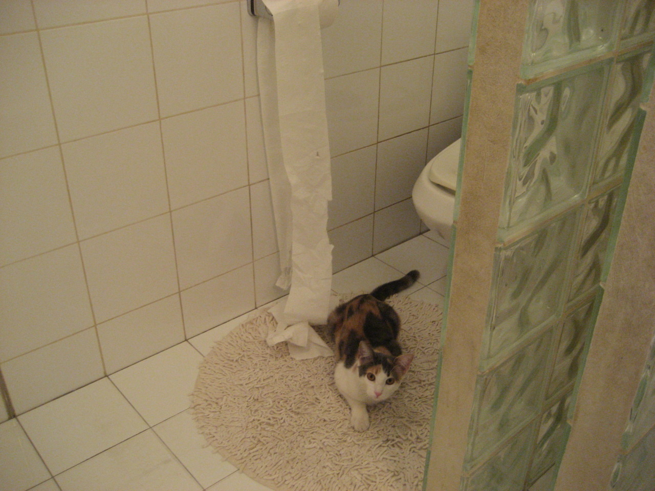 冰封王座,奥利维耶一球定音,瑞典冷锋刺穿委内瑞拉