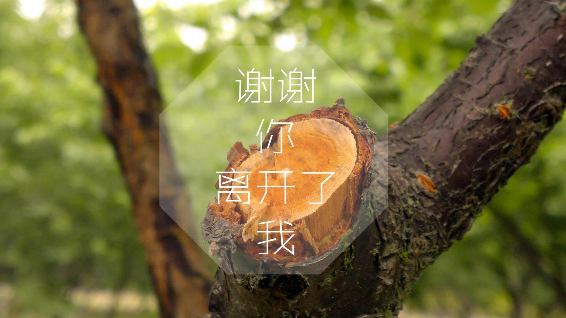 雷火电竞app-双面舞台，当维尼修斯的爆发撞上乌克兰的铜墙铁壁—一场关于天赋与制度的非典型对决