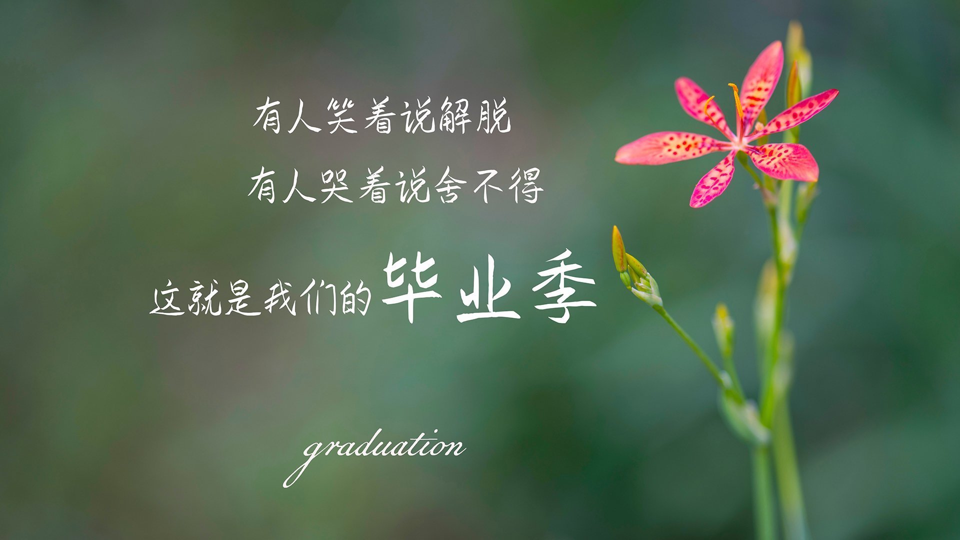 2026世界杯C组,哥伦比亚风暴横扫奥地利,C罗致命一击点燃火热王朝