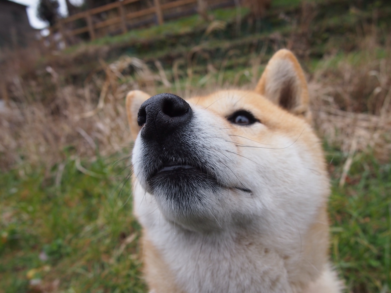 选择