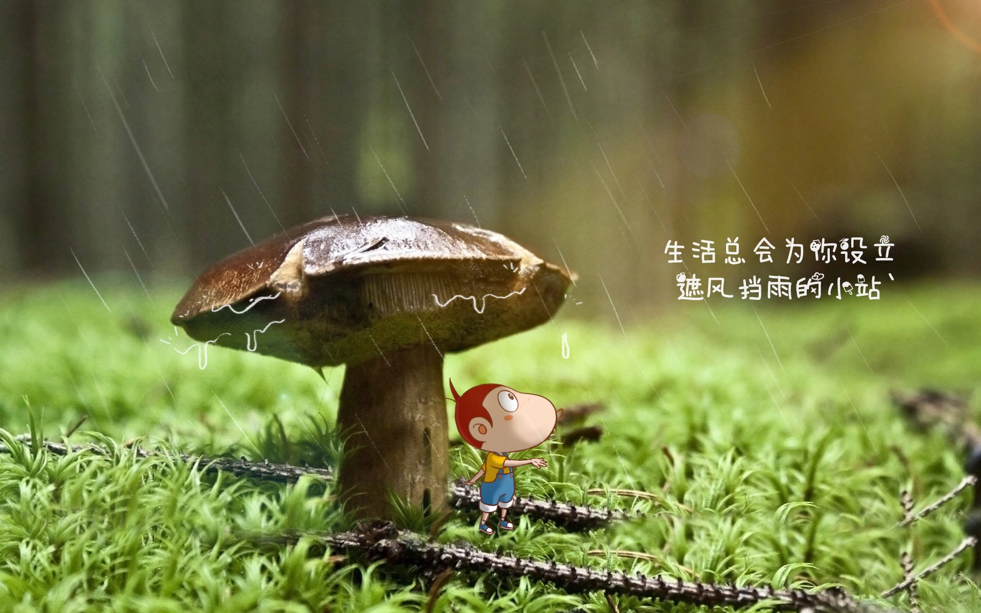 暗夜突袭，2026世界杯黑马之战，加拿大横扫突尼斯，塔雷米孤掌难鸣